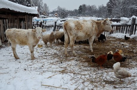 Что можно и нельзя строить на участке без согласования